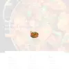 Surya