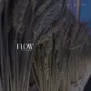 FLOW - Mediterranean Flavors