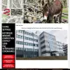 College Veterinaire