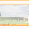 Pro Technique Color