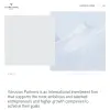 Vitruvian Partners